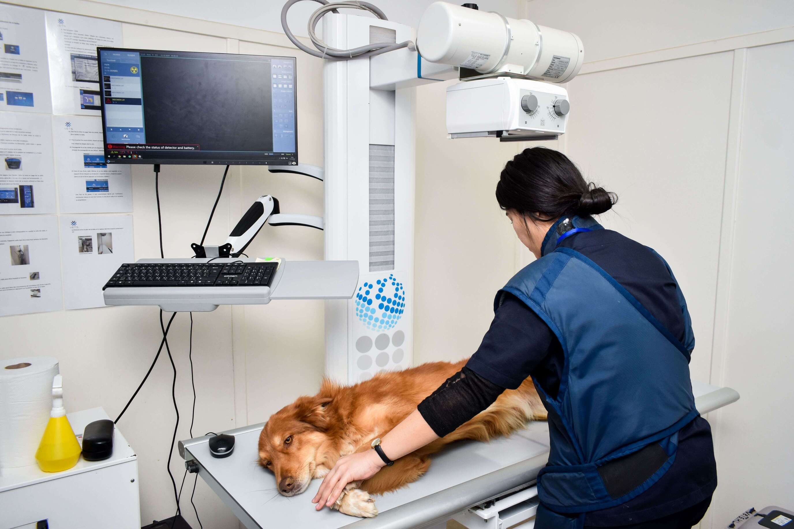 radiographie-veterinaire-tunis
